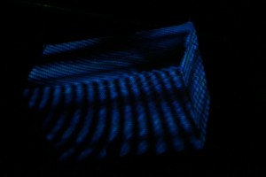 img_8445